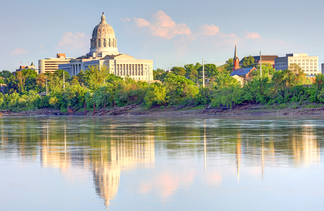 Policy Statement on the Position of Missouri State Dental Director